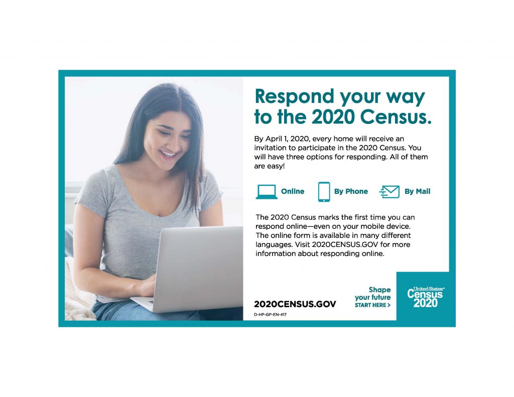 Census Ways to respond