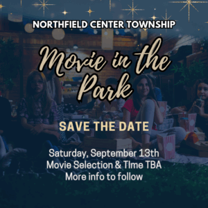 Movie in the Park