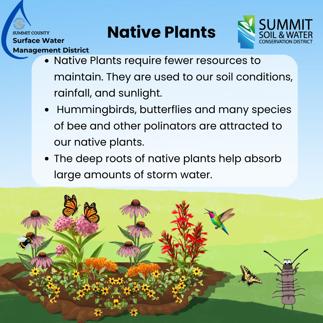 April Native April- Native Plants(w_SWMD logo) β Northfield Center Township